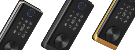 Viklund DD640 Digital Biometric Deadbolt